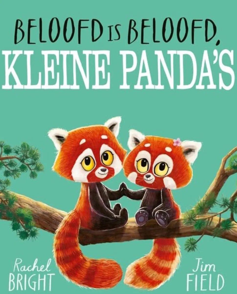 Boek | Beloofd is beloofd kleine panda's