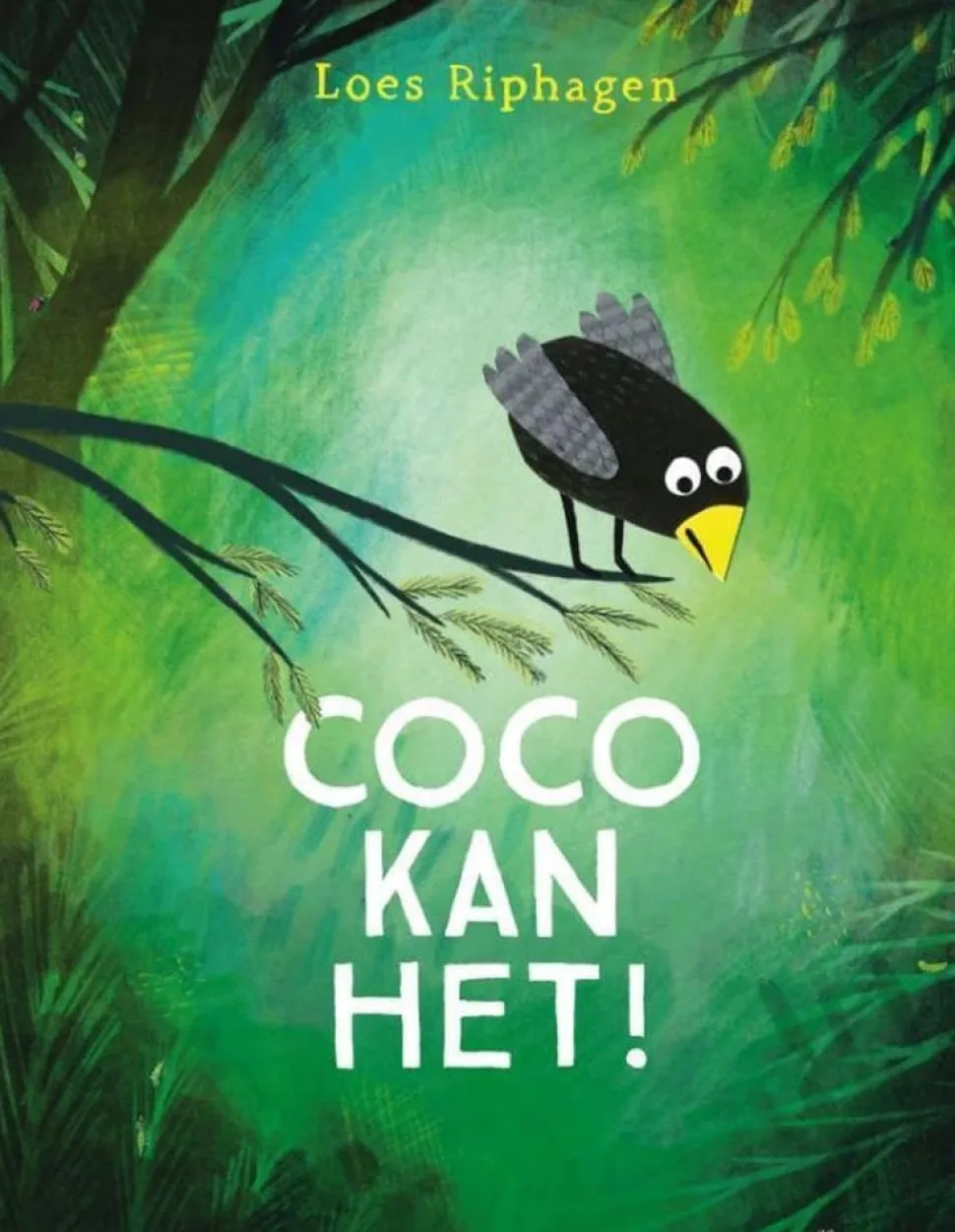 Boek | Coco kan het