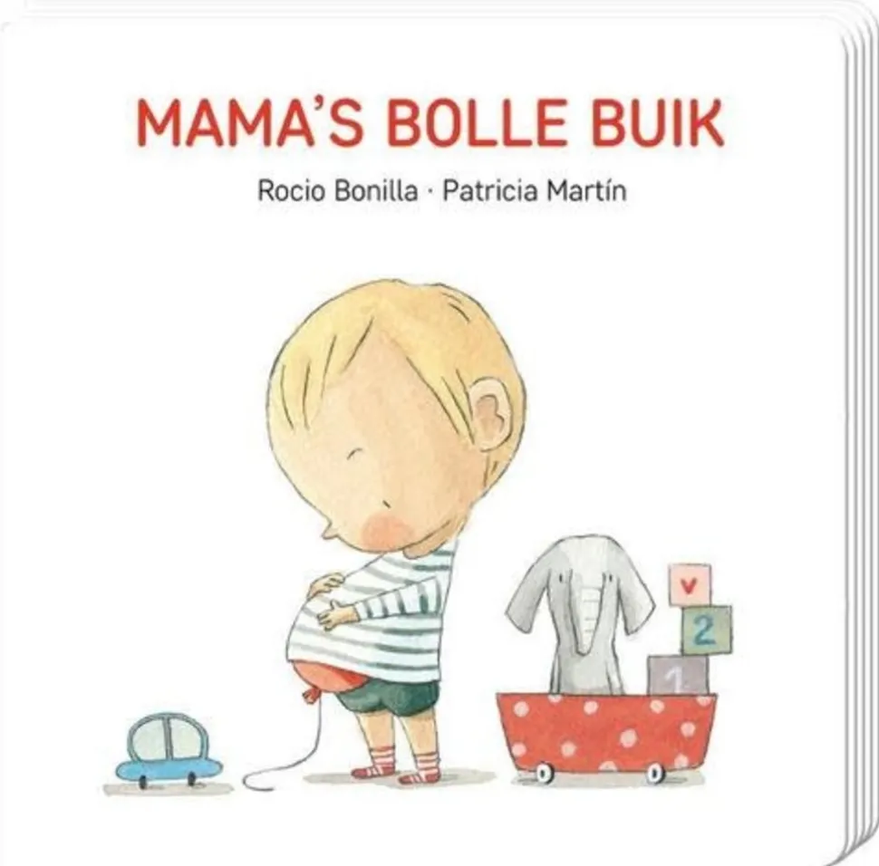 Boek | Mama's Bolle buik
