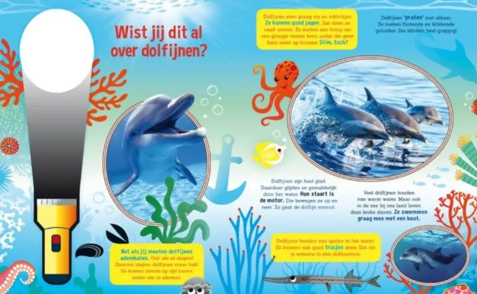 Boek - Speuren naar dolfijnen