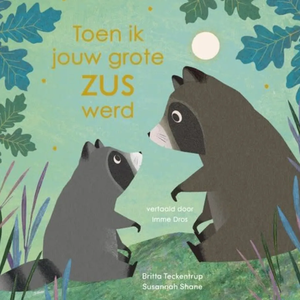 Boek | Toen ik jouw grote zus werd