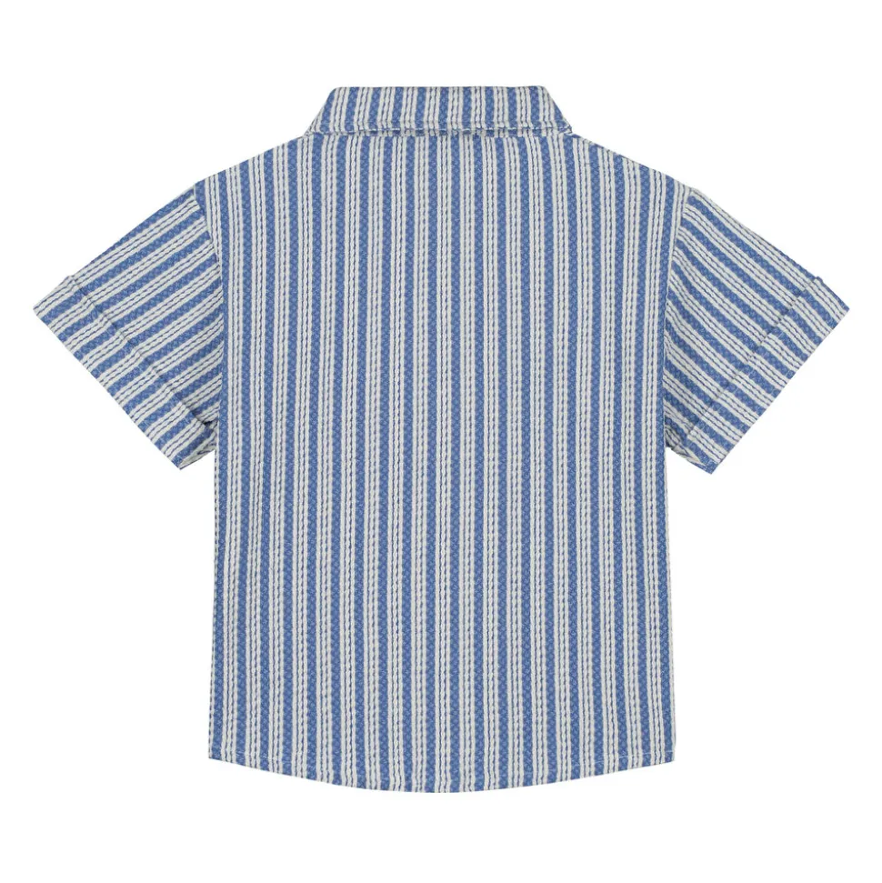 Charlie Petite | Len Blouse | StripesBlue/White